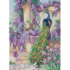 01027 Anchor Набір для вишивки рахунковим хрестиком - Павич The Peacock 40x30 см, Aida 18