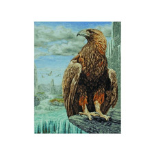 01229 Anchor Набір для вишивки рахунковим хрестиком - 3D Орел 3D Eagle 60x45 см, Aida 18