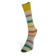 02 Пряжа Laines du Nord Art Sock, 100г - 420м, мультіколор, 75% вовна, 25% нейлон