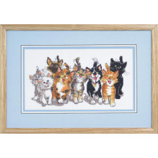 038-0177 Janlynn Набір для вишивки рахунковим хрестиком - Хвости Дакпорта 36x20 см, Aida 14
