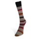 05 Пряжа Laines du Nord Art Sock, 100г - 420м, мультіколор, 75% вовна, 25% нейлон