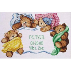 056-0191 Janlynn Набір для вишивки рахунковим хрестиком - Метрика 35,6x24,1 см, Aida14