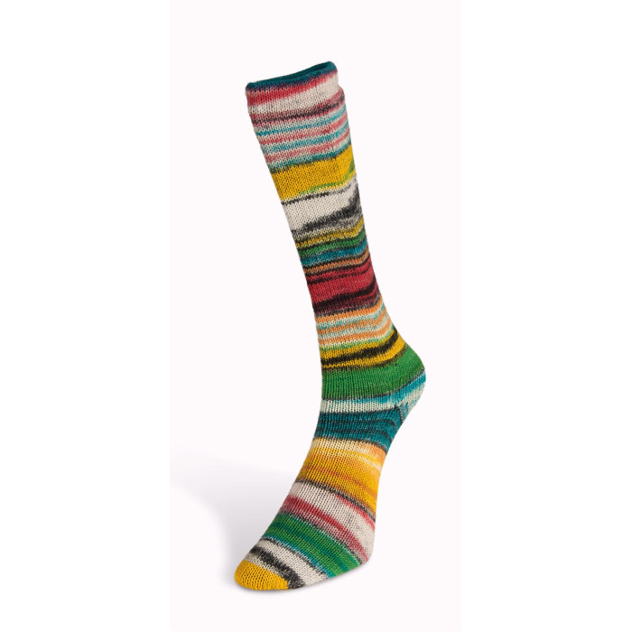 1 Пряжа Laines du Nord Eclectic Sock, 100г - 420м, різнокольоровий, 75% вовна, 25% нейлон