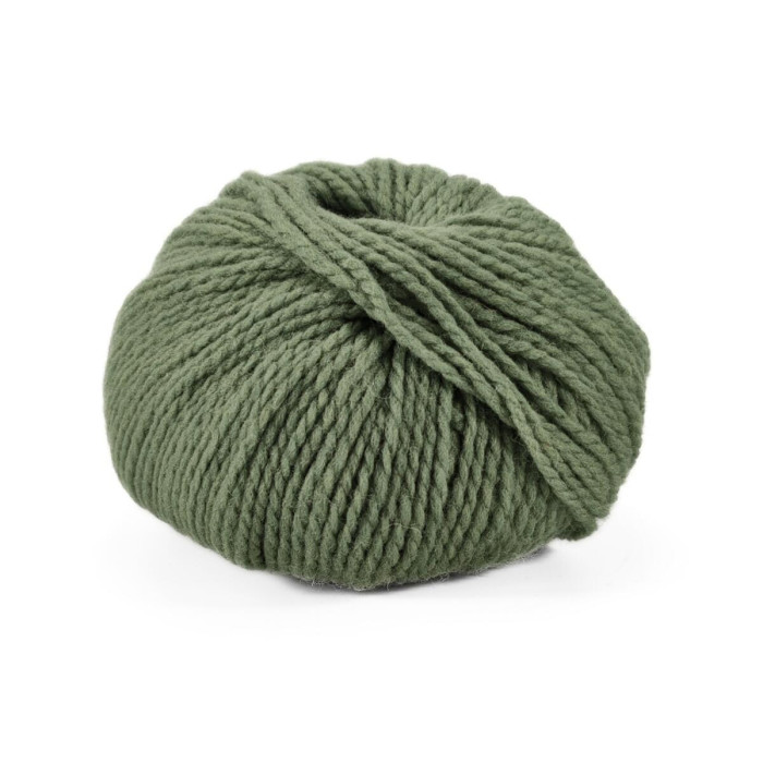 10 Пряжа Laines du Nord Vasto, 50г - 125м, оливковий, 100% меринос