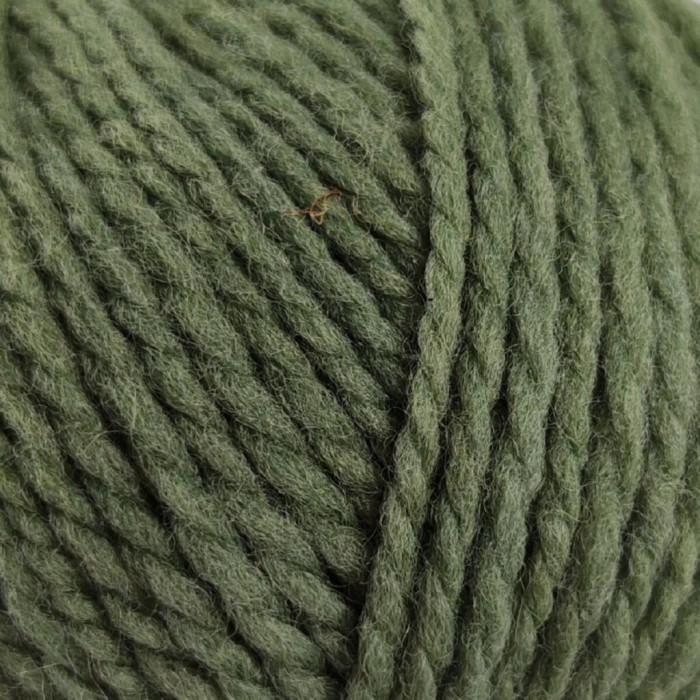 10 Пряжа Laines du Nord Vasto, 50г - 125м, оливковий, 100% меринос