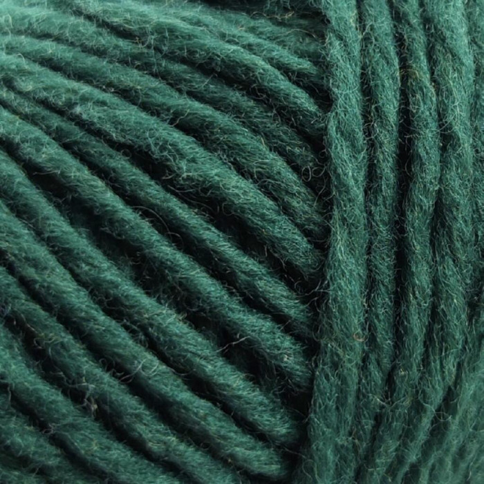 11 Пряжа Laines du Nord Soft Carded Merino, 25г - 90м, зелений, 100% вовна