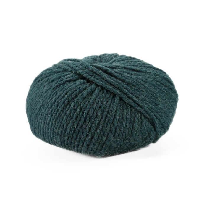 11 Пряжа Laines du Nord Vasto, 50г - 125м, темно-зелений, 100% меринос