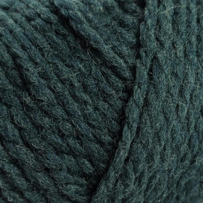 11 Пряжа Laines du Nord Vasto, 50г - 125м, темно-зелений, 100% меринос