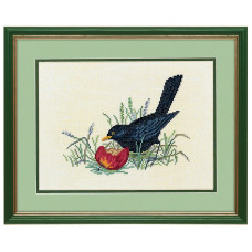 12-983 Eva Rosenstand Набір для вишивки рахунковим хрестиком - Чорний птах і яблуко 24х30 см, Льон 26 ct