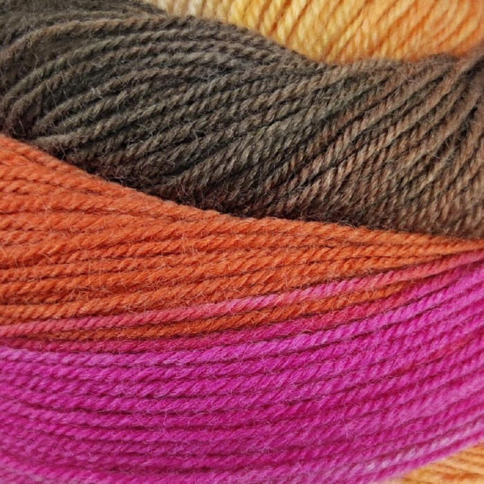 12 Пряжа Laines du Nord Harmonious Sock, 100г - 420м, різнокольоровий, 75% вовна, 25% нейлон