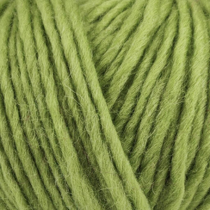 1318 Пряжа Campolmi Filati Tundra, 100г - 110м, фісташково-зелений, 100% вовна