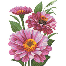 14-170 Інстинкт вишивання Схема на канві для вишивки хрестиком - Цинії 33x45 см, Aida 14 (з паперовою схемою)