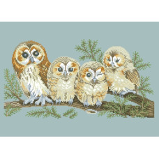 14-177 Інстинкт вишивання Схема на канві для вишивки хрестиком - Совина сім'я 33x45 см, Aida 14 (з паперовою схемою)