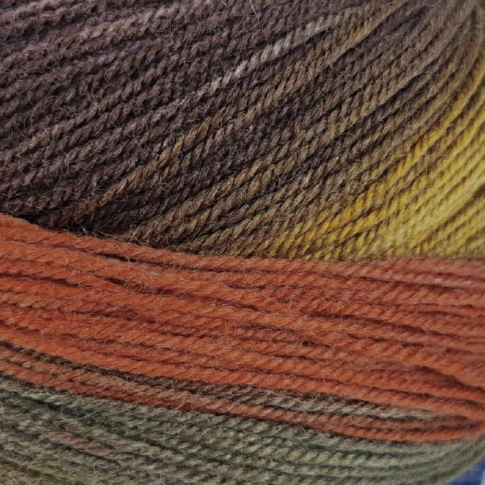 14 Пряжа Laines du Nord Harmonious Sock, 100г - 420м, різнокольоровий, 75% вовна, 25% нейлон