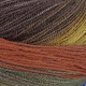 14 Пряжа Laines du Nord Harmonious Sock, 100г - 420м, різнокольоровий, 75% вовна, 25% нейлон