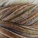14 Пряжа Laines du Nord Paint Gradient Sock, 100г - 420м, різнокольоровий, 75% вовна, 25% нейлон