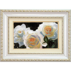 РК-035 Білі троянди. 19.5x12 см. Чарівна Мить. Набір для часткової вишивки хрестиком на Aida 14 з фоном
