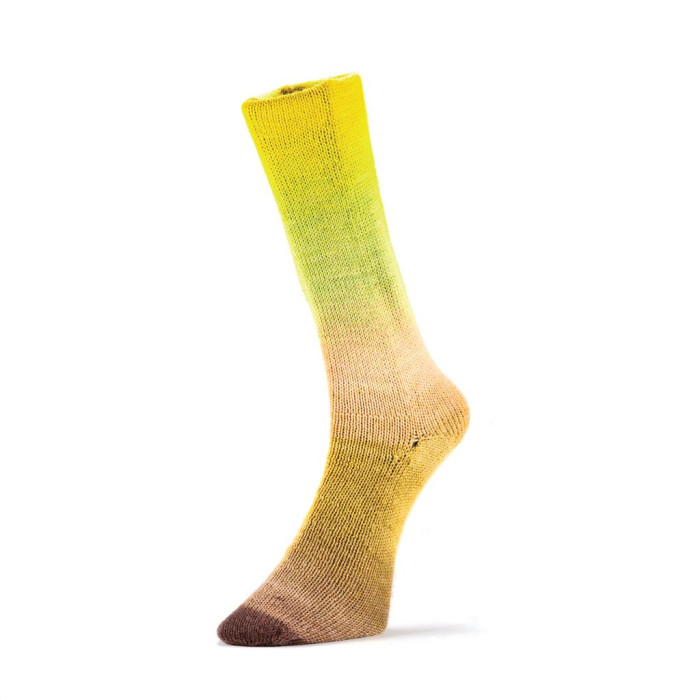 16 Пряжа Laines du Nord Harmonious Sock, 100г - 420м, різнокольоровий, 75% вовна, 25% нейлон