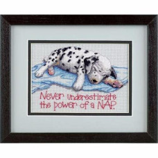 16750 Dimensions Набір для вишивки рахунковим хрестиком - Сила сну Power Nap 12x17 см, Aida14