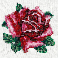 O426 Ніжна троянда. Луїза. Схема на тканині для вишивання бісером