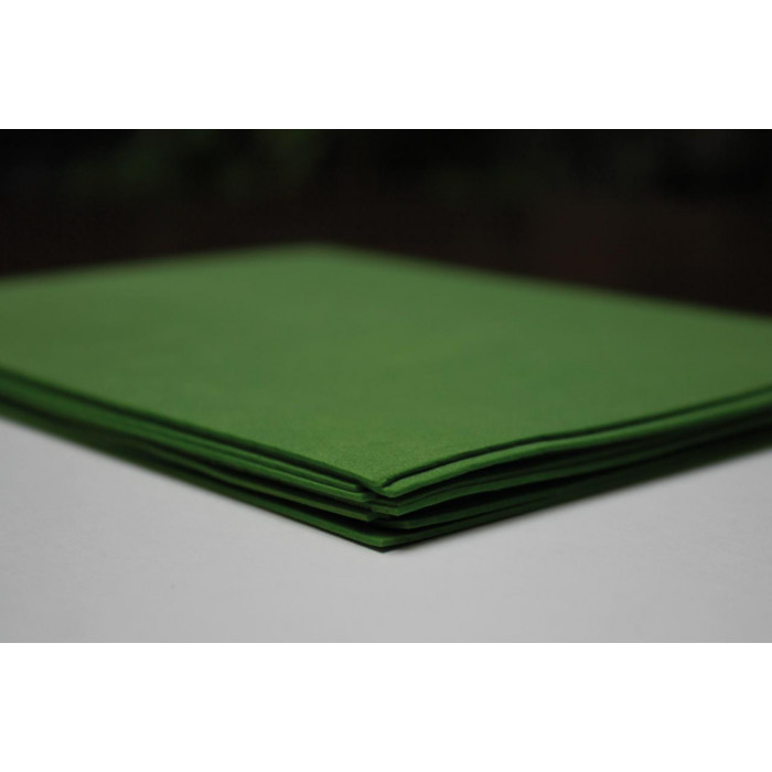 179 Фоамиран (ЕВА) товщина 0,8-1,2 мм, 20x30 см Темно-зелений
