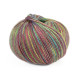18 Пряжа Campolmi Filati Svezia Fantasie, 100г - 250м, мультіколор, 50% вовна, 25% акрил