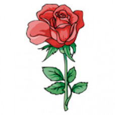 O350 Червона троянда. Orchidea. Канва з нанесеним малюнком(Знятий з виробництва)
