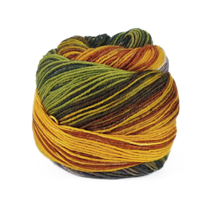 2 Пряжа шкарпеткова Laines du Nord Paint Sock 6 PLY,150г - 400м, різнокольоровий, 75% вовна, 25% нейлон