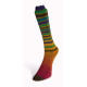 20 Пряжа Laines du Nord Infinity Sock, 100г - 420м, різнокольоровий, 75% вовна, 25% нейлон