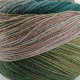 200 Шкарпеткова Пряжа Laines du Nord WaterColor Sock, 100г - 420м, різнокольоровий, 75% вовна, 25% нейлон