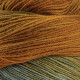 203 Шкарпеткова Пряжа Laines du Nord WaterColor Sock, 100г - 420м, різнокольоровий, 75% вовна, 25% нейлон