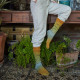 203 Шкарпеткова Пряжа Laines du Nord WaterColor Sock, 100г - 420м, різнокольоровий, 75% вовна, 25% нейлон