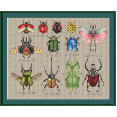 220013 Little Stitch Набір для вишивки рахунковим хрестиком - Сет жуків 34,5x46 см, Aida16 (айворі)