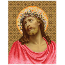 48 ІТВ-схема Ісус у терновому вінку. БС Солес. Схема на тканині для вишивання бісером