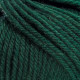 29 Пряжа Laines du Nord Holiday, 50г - 125м, малахітовий, 70% вовна, 30% акрил