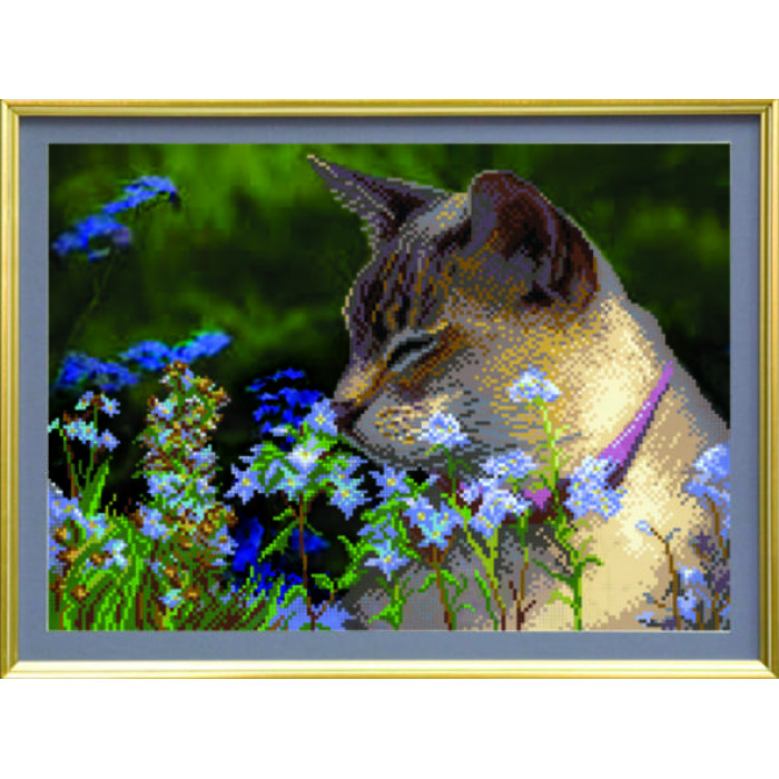СБ-227 Квітковий кіт. Чарівна Мить. Схема на тканині для вишивання бісером