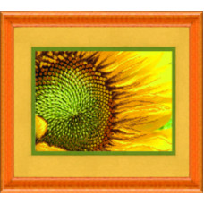СБ-251 Сонячний квітка. Чарівна Мить. Схема на тканині для вишивання бісером