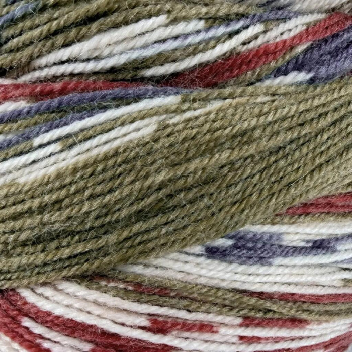3 Пряжа Laines du Nord Christmas Socks, 100г - 420м, різнокольоровий, 75% вовна, 25% нейлон