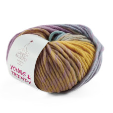 3 Пряжа Laines du Nord Young Trendy, 80г - 100м, різнокольоровий, 100% вовна