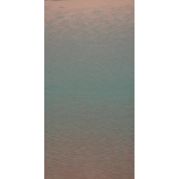 300 Пряжа Laines du Nord Poema, 150г - 600м, різнокольоровий, 100% вовна