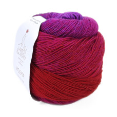 304 Пряжа Laines du Nord Poema, 150г - 600м, різнокольоровий, 100% вовна