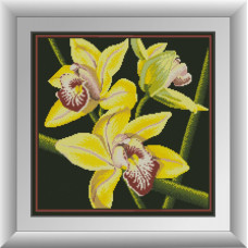 30412 Жовта орхідея. Dream Art. Набір алмазної мозаїки (квадратні, повна)