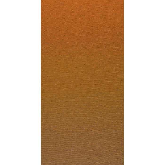 305 Пряжа Laines du Nord Poema, 150г - 600м, різнокольоровий, 100% вовна