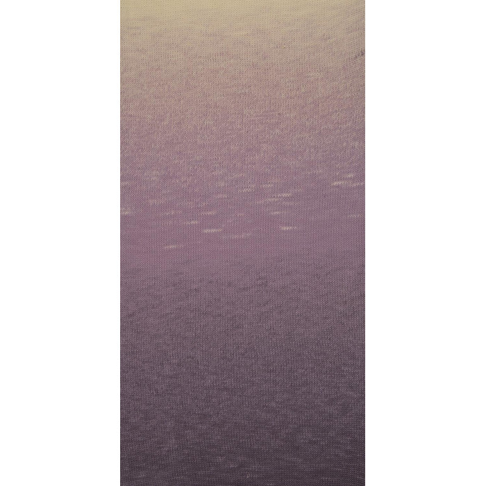 307 Пряжа Laines du Nord Poema, 150г - 600м, різнокольоровий, 100% вовна