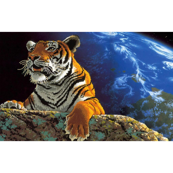 ТА-079 Амурський тигр. Врятуємо планету. Тела Артіс. Схема для вишивання бісером