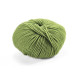 329 Пряжа Laines du Nord Dolly 125, 50г - 125м, фісташковий, 100% вовна