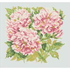 362 Рожеві хризантеми. Світ Можливостей. Канва з нанесеним малюнком