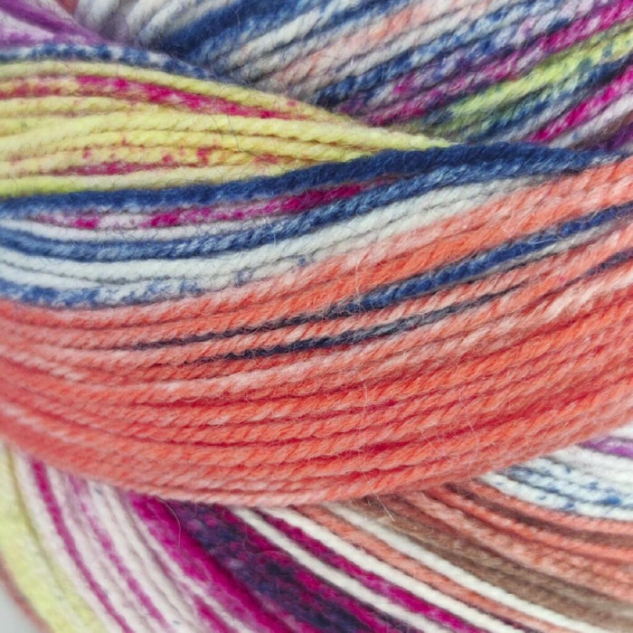 4 Пряжа Laines du Nord Eclectic Sock, 100г - 420м, різнокольоровий, 75% вовна, 25% нейлон