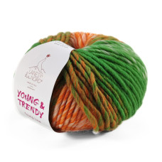 4 Пряжа Laines du Nord Young Trendy, 80г - 100м, різнокольоровий, 100% вовна