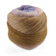 404 Пряжа Laines du Nord Poema, 150г - 600м, різнокольоровий, 100% вовна